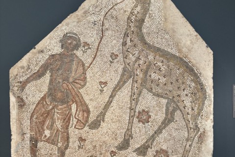 Mosaic "Fragment with a Man Leading a Giraffe" ~5th century, Art Institute of Chicago