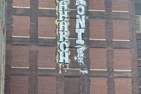 Street art, Wabash Ave., Chicago IL
