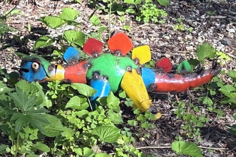 Garden dinosaur, Madison WI