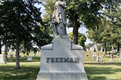 Freeman