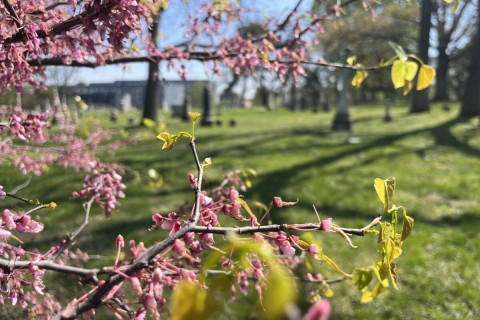 Tried to get artsy...